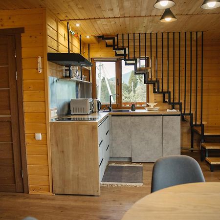 Villa Бриндуш à Tatariv Extérieur photo