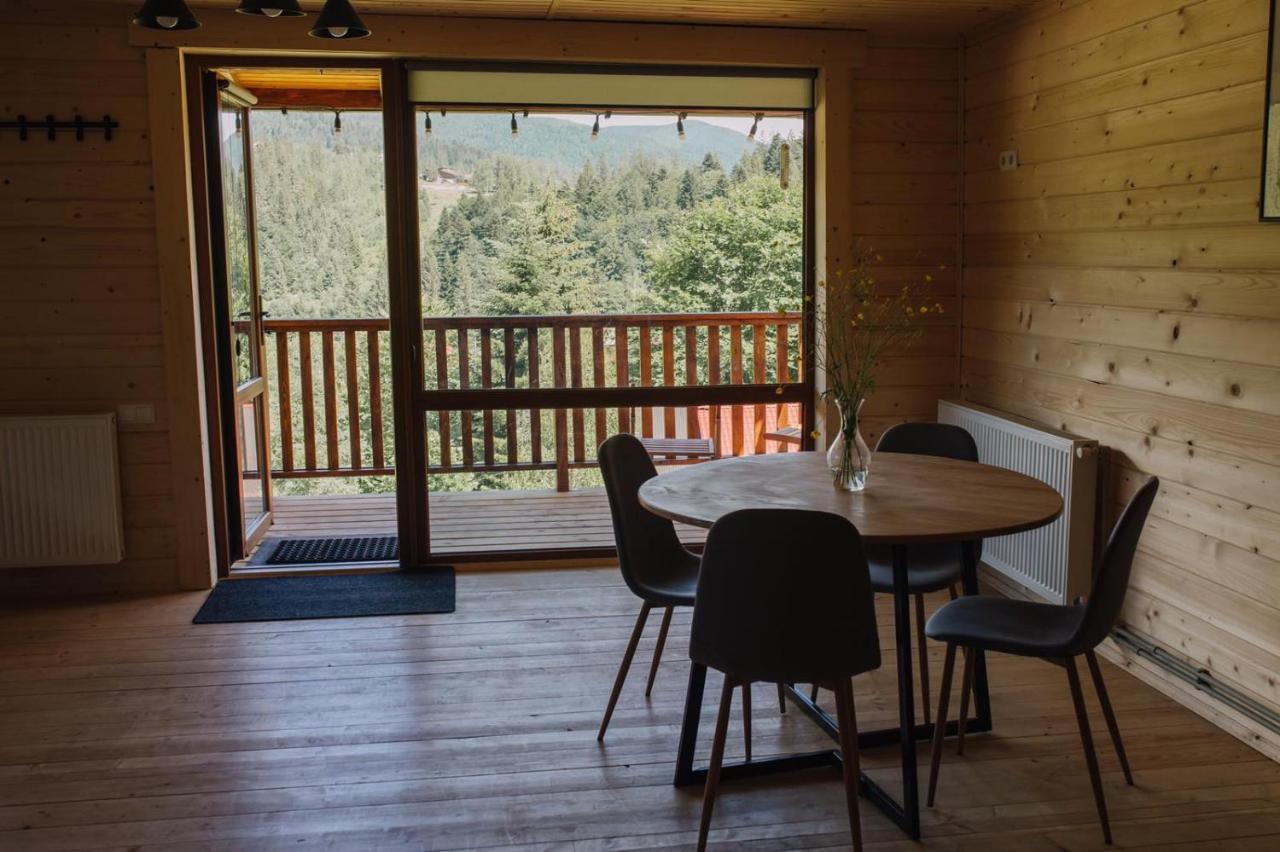 Villa Бриндуш à Tatariv Extérieur photo