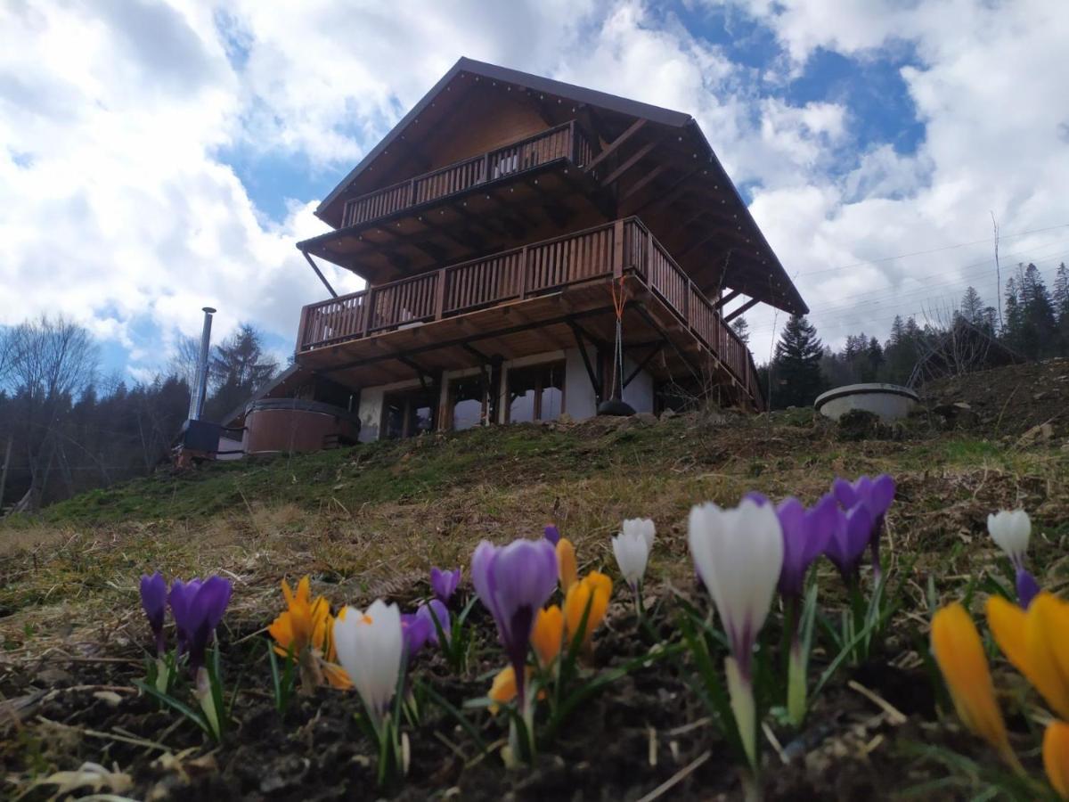 Villa Бриндуш à Tatariv Extérieur photo