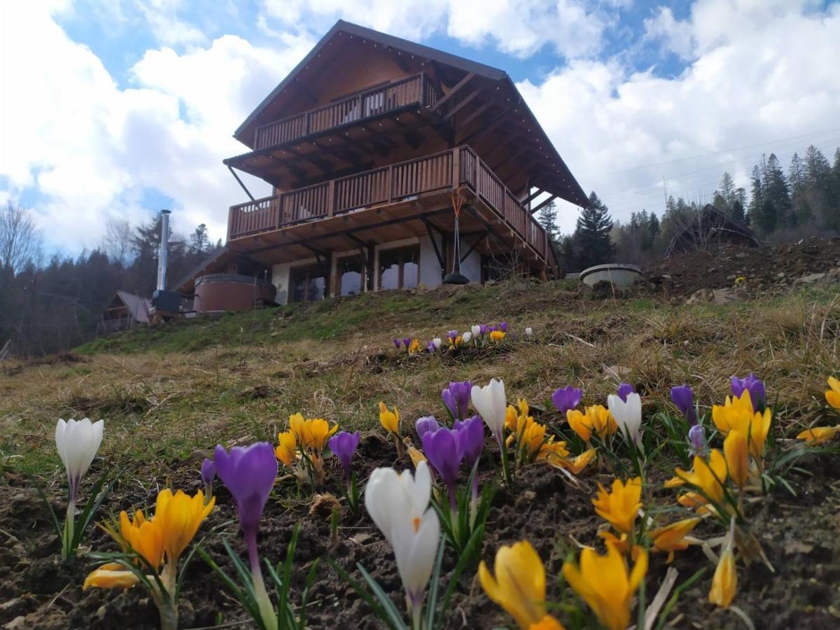 Villa Бриндуш à Tatariv Extérieur photo